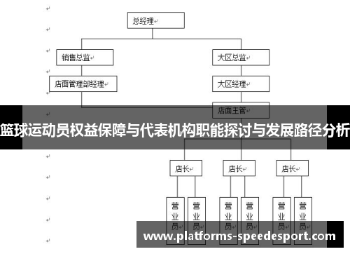 篮球运动员权益保障与代表机构职能探讨与发展路径分析