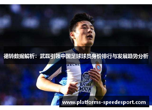 德转数据解析：武磊引领中国足球球员身价排行与发展趋势分析