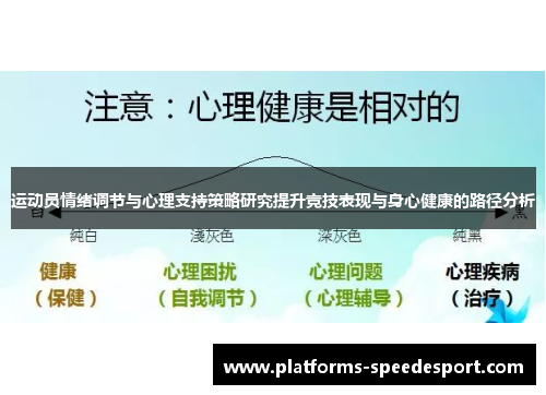 运动员情绪调节与心理支持策略研究提升竞技表现与身心健康的路径分析