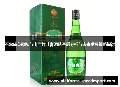 石家庄英励队与山西竹叶青酒队赛后分析与未来发展策略探讨