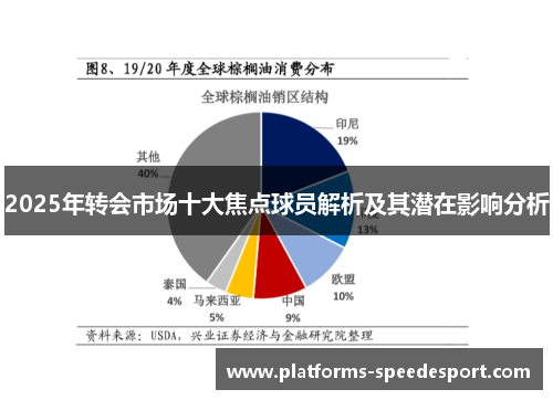2025年转会市场十大焦点球员解析及其潜在影响分析