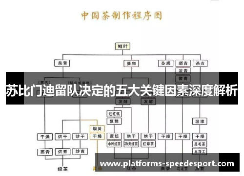 苏比门迪留队决定的五大关键因素深度解析