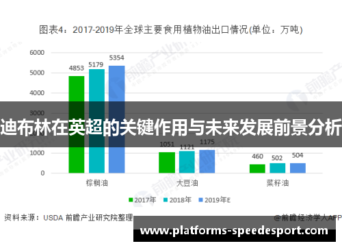 迪布林在英超的关键作用与未来发展前景分析