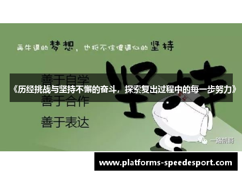 《历经挑战与坚持不懈的奋斗，探索复出过程中的每一步努力》