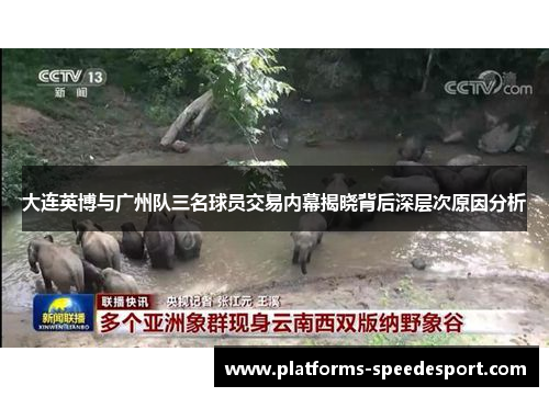 大连英博与广州队三名球员交易内幕揭晓背后深层次原因分析