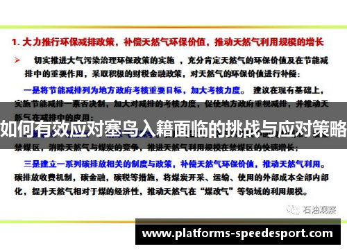 如何有效应对塞鸟入籍面临的挑战与应对策略