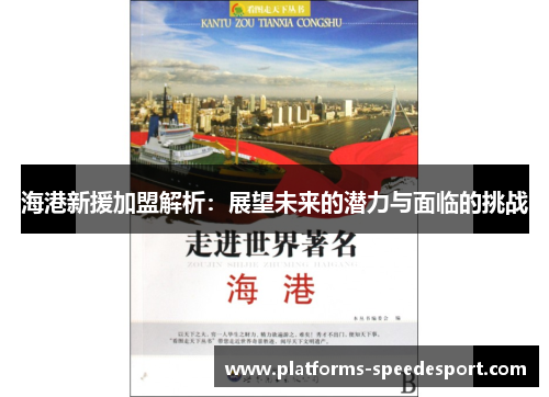 海港新援加盟解析：展望未来的潜力与面临的挑战