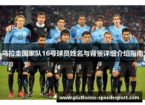 乌拉圭国家队16号球员姓名与背景详细介绍指南