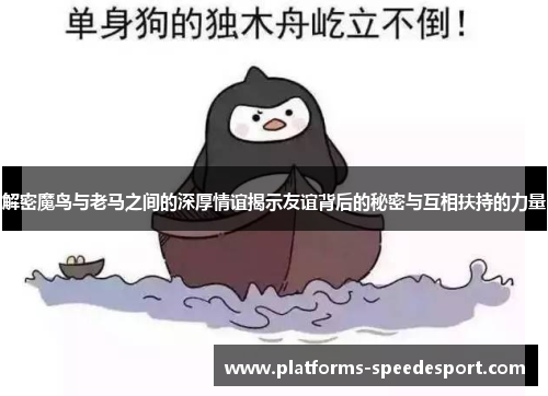 解密魔鸟与老马之间的深厚情谊揭示友谊背后的秘密与互相扶持的力量