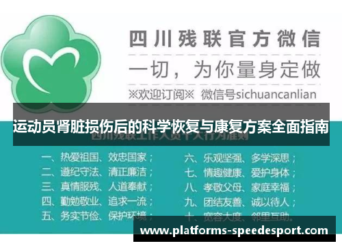 运动员肾脏损伤后的科学恢复与康复方案全面指南 运动员肾脏损伤后的科学恢复与康复方案全面指南