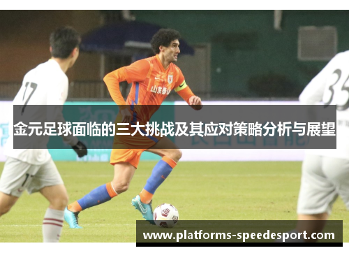 金元足球面临的三大挑战及其应对策略分析与展望