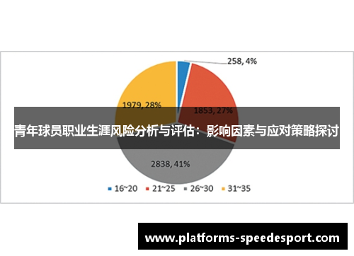 青年球员职业生涯风险分析与评估：影响因素与应对策略探讨