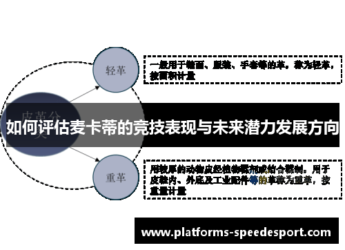 如何评估麦卡蒂的竞技表现与未来潜力发展方向